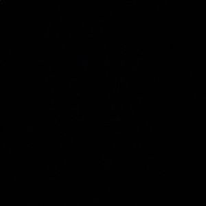 Meet your Posher, Dillon